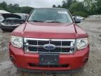 2011 Ford Escape XLS