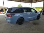 2023 Honda Odyssey SPORT-L