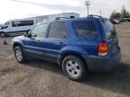 2007 Ford Escape XLT