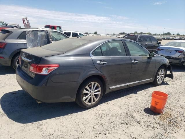 2010 Lexus ES 350