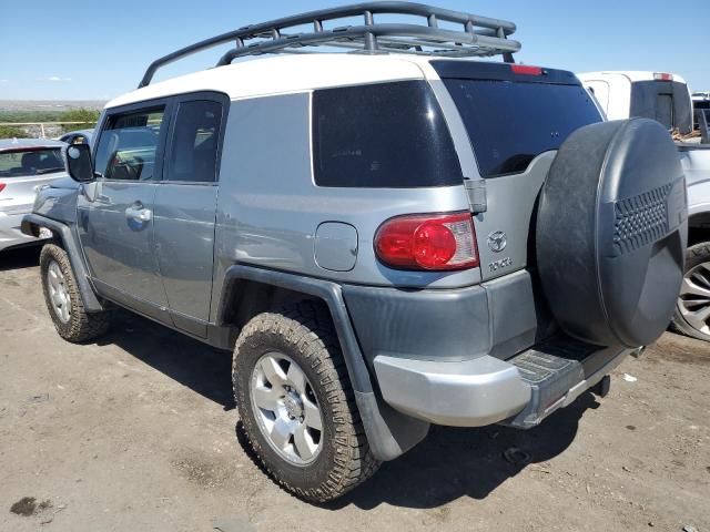 2009 Toyota FJ Cruiser