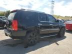 2011 Cadillac Escalade