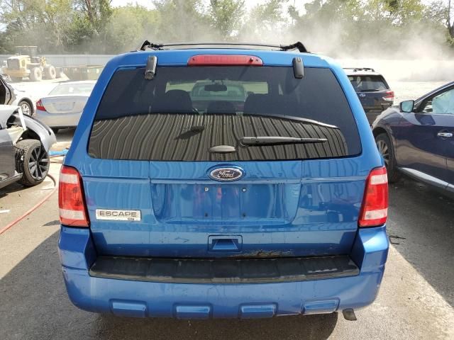 2011 Ford Escape XLT