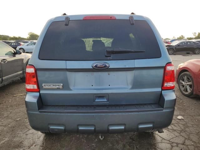 2010 Ford Escape XLT