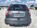 2010 Honda CR-V EXL