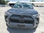 2024 Toyota 4runner SR5/SR5 Premium