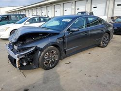 Salvage cars for sale at Louisville, KY auction: 2024 Hyundai Sonata SEL