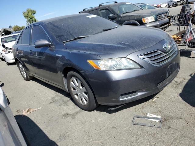 2008 Toyota Camry Hybrid