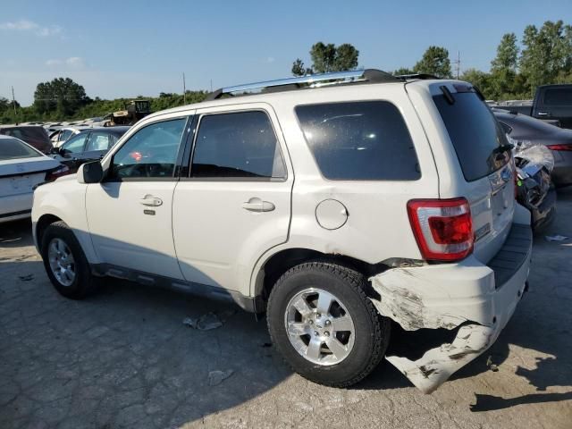 2012 Ford Escape Limited