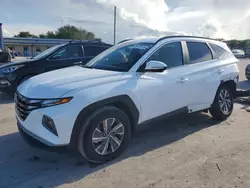 2023 Hyundai Tucson Blue en venta en Tifton, GA