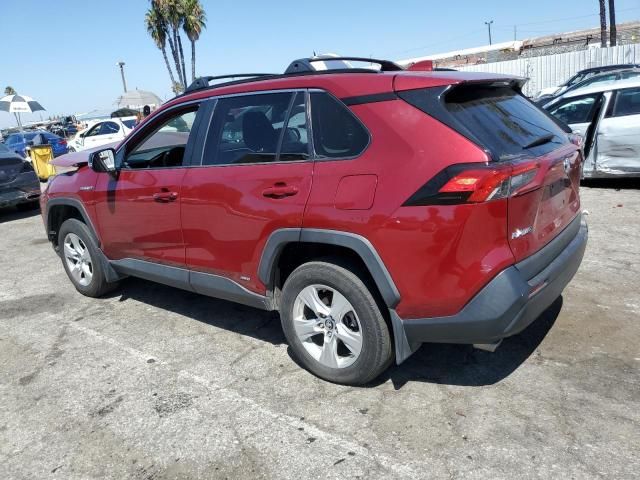 2019 Toyota Rav4 XLE