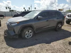 Vehiculos salvage en venta de Copart Mercedes, TX: 2021 Toyota Rav4 XLE