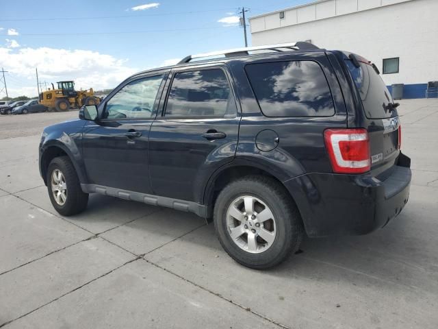 2009 Ford Escape Limited