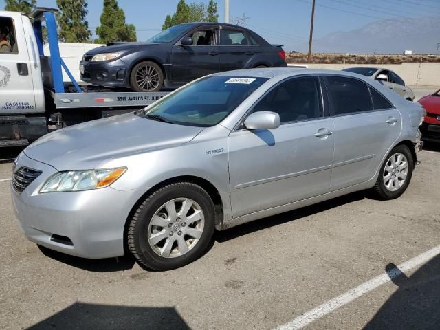 2008 Toyota Camry Hybrid