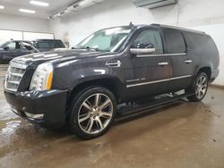 Salvage cars for sale at Davison, MI auction: 2013 Cadillac Escalade ESV Platinum