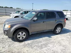 Ford salvage cars for sale: 2011 Ford Escape XLS