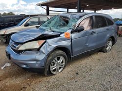 Honda salvage cars for sale: 2010 Honda CR-V EX