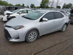 Toyota Vehiculos salvage en venta: 2019 Toyota Corolla L