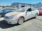 2003 Lexus ES 300