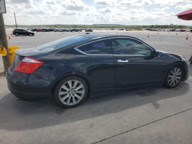 2009 Honda Accord EXL