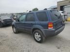 2001 Ford Escape XLT