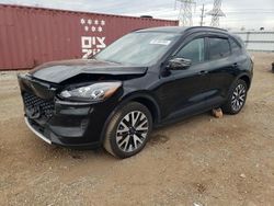 Ford salvage cars for sale: 2020 Ford Escape SE Sport