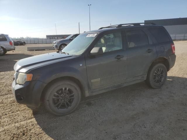 2008 Ford Escape XLT