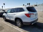 2020 Honda Pilot EXL