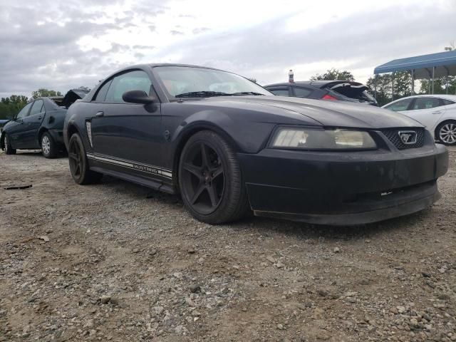 2000 Ford Mustang