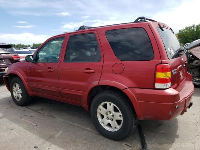 2006 Ford Escape Limited