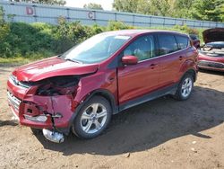 2013 Ford Escape SE en venta en Davison, MI