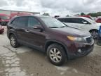 2011 KIA Sorento Base