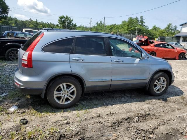 2010 Honda CR-V EXL