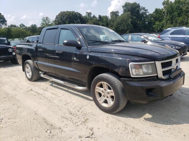 2011 Dodge Dakota SLT