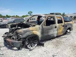 Salvage trucks for sale at Hueytown, AL auction: 2013 Ford F150 Supercrew