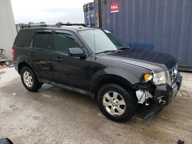 2011 Ford Escape Limited