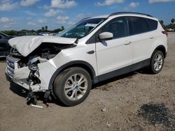 2019 Ford Escape SEL en venta en Mercedes, TX