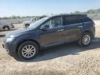 2013 Lincoln MKX