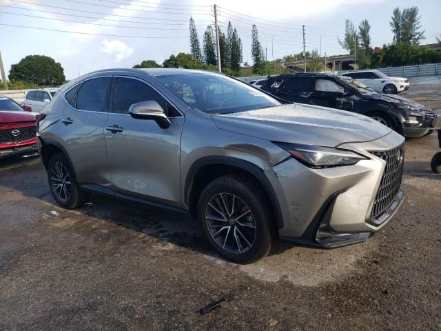 2024 Lexus NX 250 Base