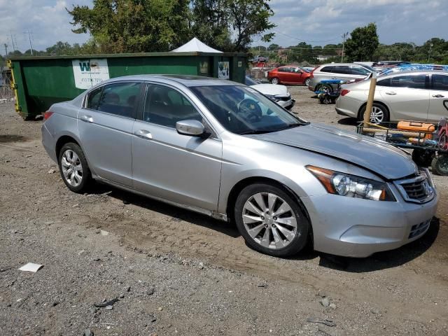 2010 Honda Accord EX