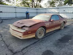 Carros dañados por inundaciones a la venta en subasta: 1985 Pontiac Firebird Trans AM