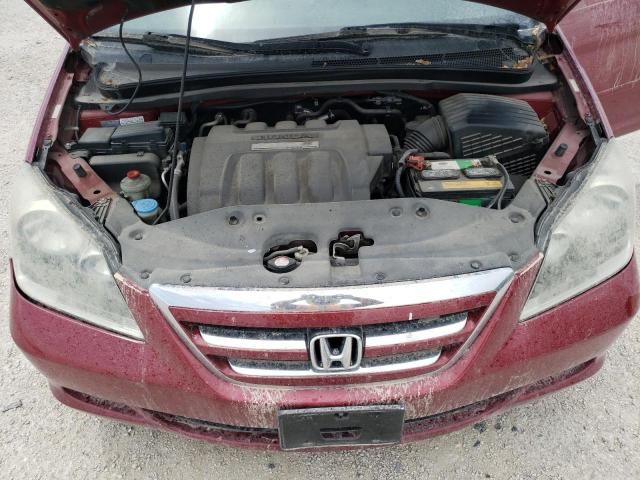 2006 Honda Odyssey EXL