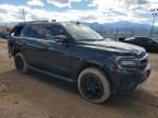 2023 Ford Expedition Timberline