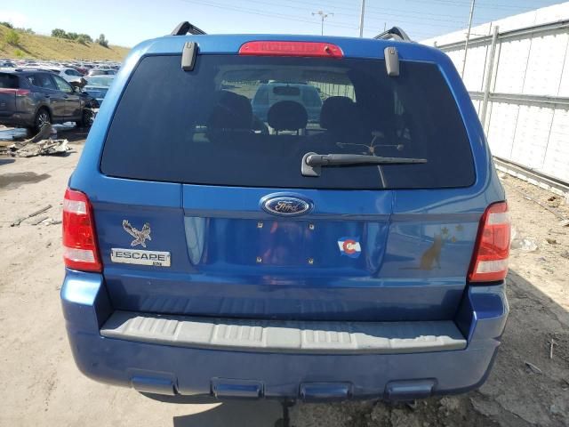 2008 Ford Escape XLT