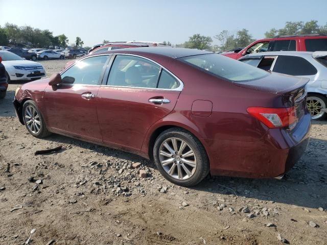 2007 Lexus ES 350