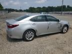 2013 Lexus ES 300H