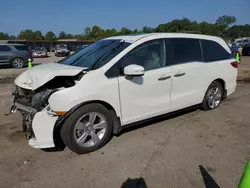 Salvage cars for sale at Florence, MS auction: 2019 Honda Odyssey EXL