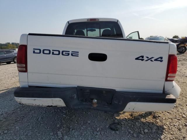 2000 Dodge Dakota