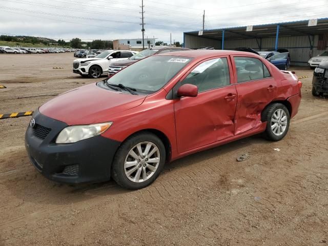 2010 Toyota Corolla Base