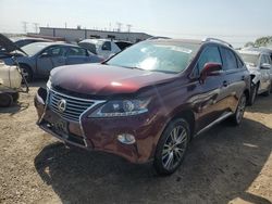 Salvage cars for sale at Elgin, IL auction: 2013 Lexus RX 350 Base